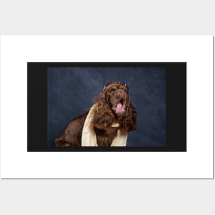 Sussex Spaniel Aviator Posters and Art